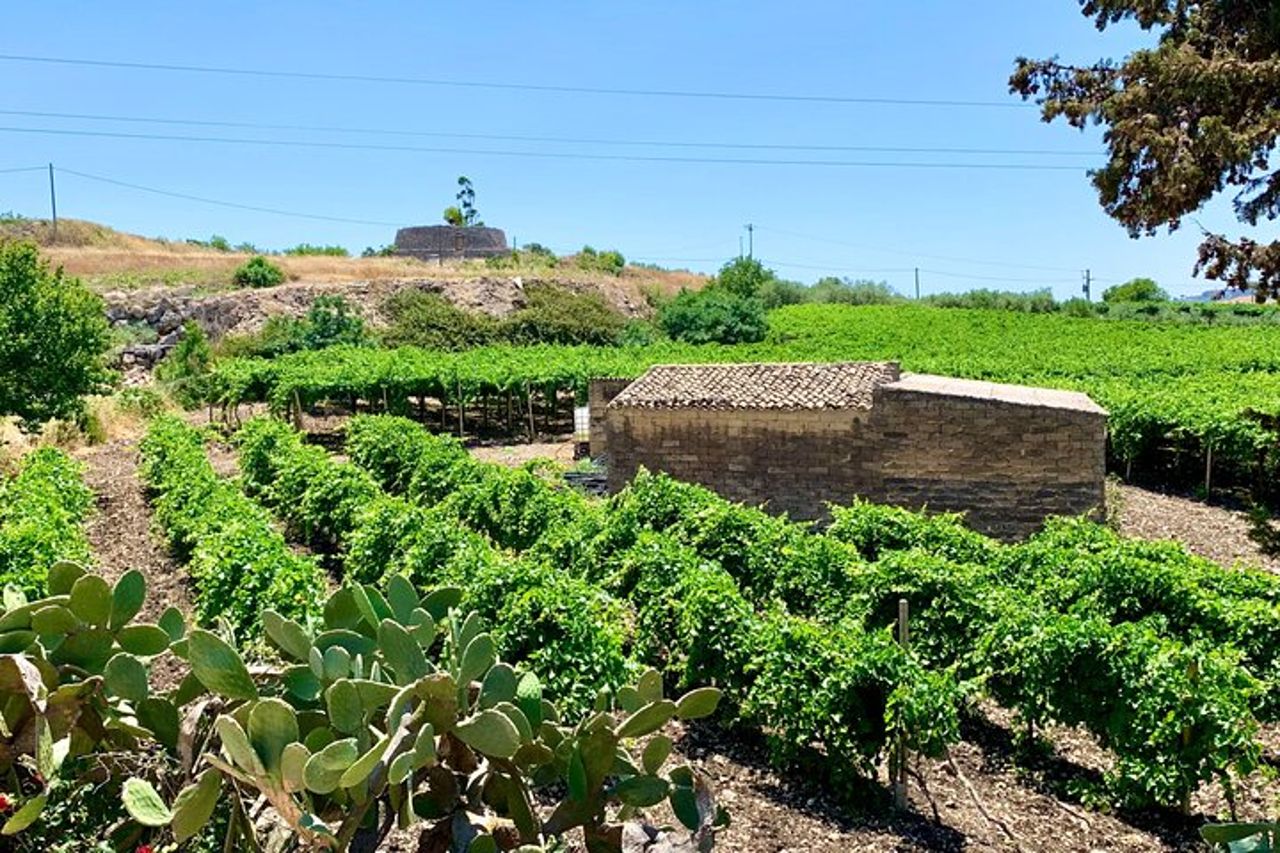 Tour Privato AGRIGENTO e CANTINA con Guida Autista — 8