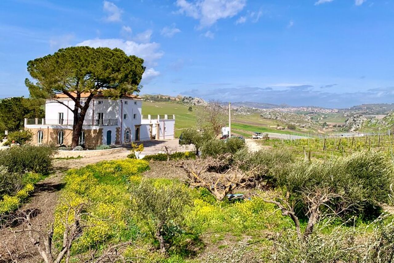 Tour Privato AGRIGENTO e CANTINA con Guida Autista — 3