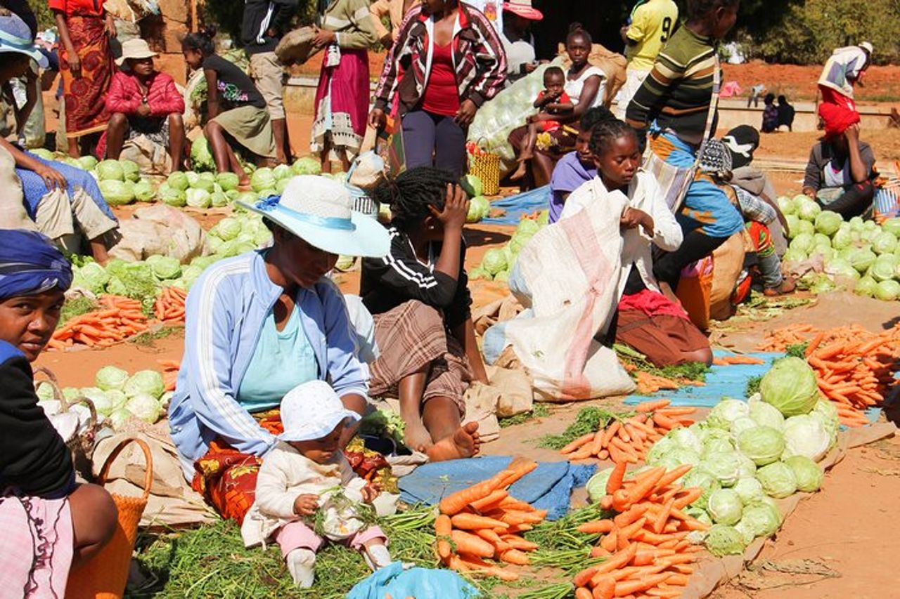 Tour privato di 13 giorni sulla Mythique Nationale 7 del Madagascar — 4