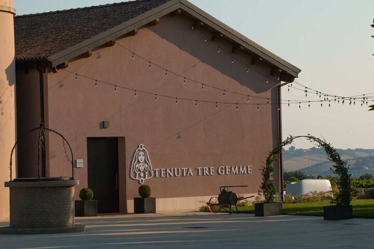 Visita e degustazione vini a 30 minuti da Pescara — 5