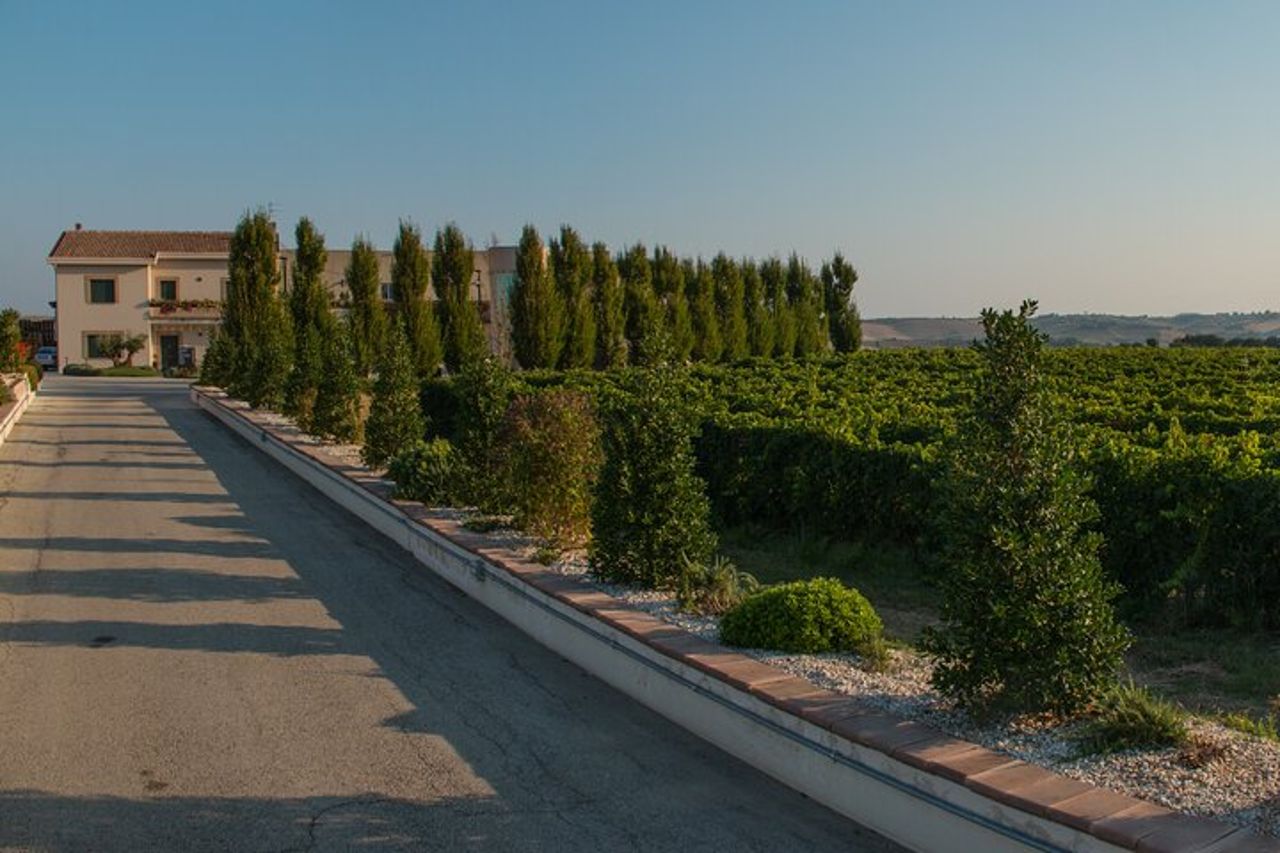 Visita e degustazione vini a 30 minuti da Pescara — 2