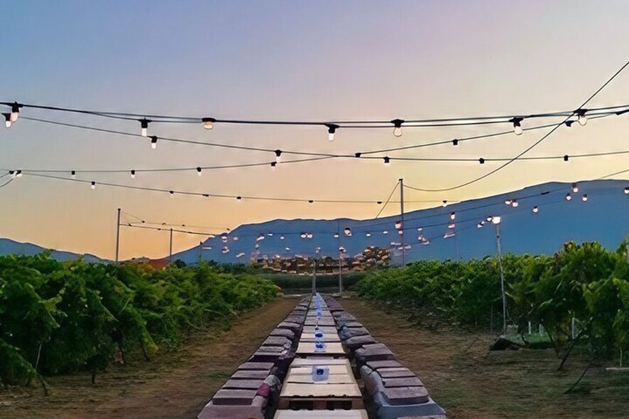 Visita e degustazione vini a 30 minuti da Pescara — 4
