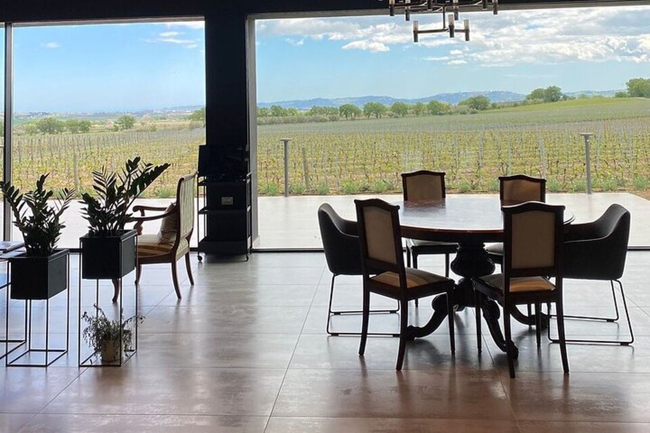 Visita e degustazione vini a 30 minuti da Pescara — 3