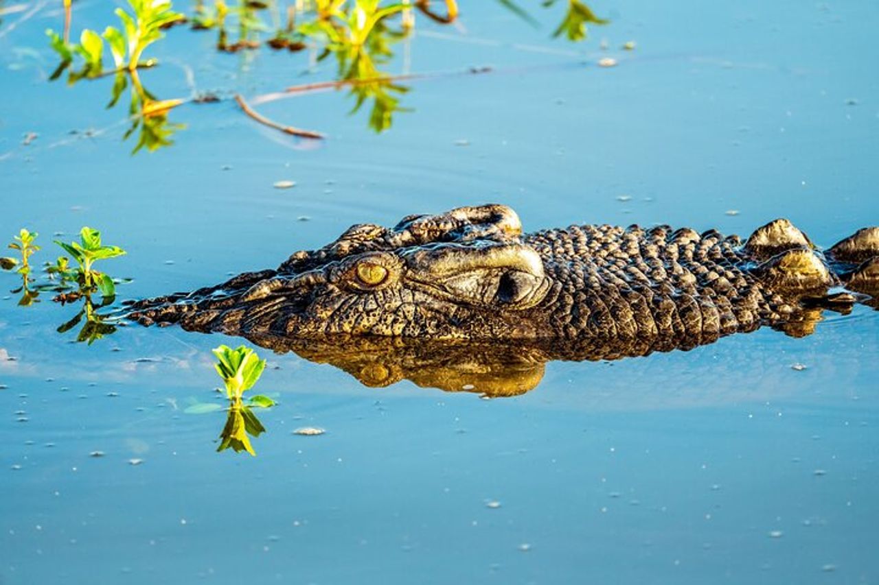 Tour giornaliero privato Kakadu — 3