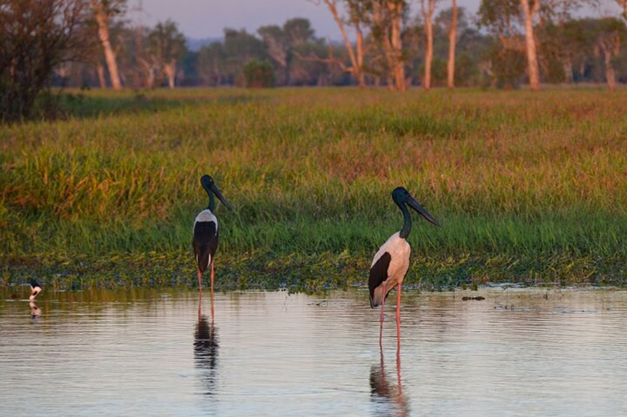 Tour giornaliero privato Kakadu — 6