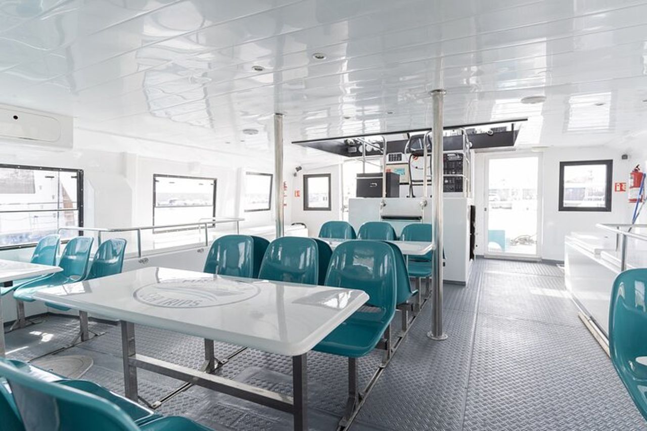 Osservazione dei delfini su un catamarano a Fuengirola — 7