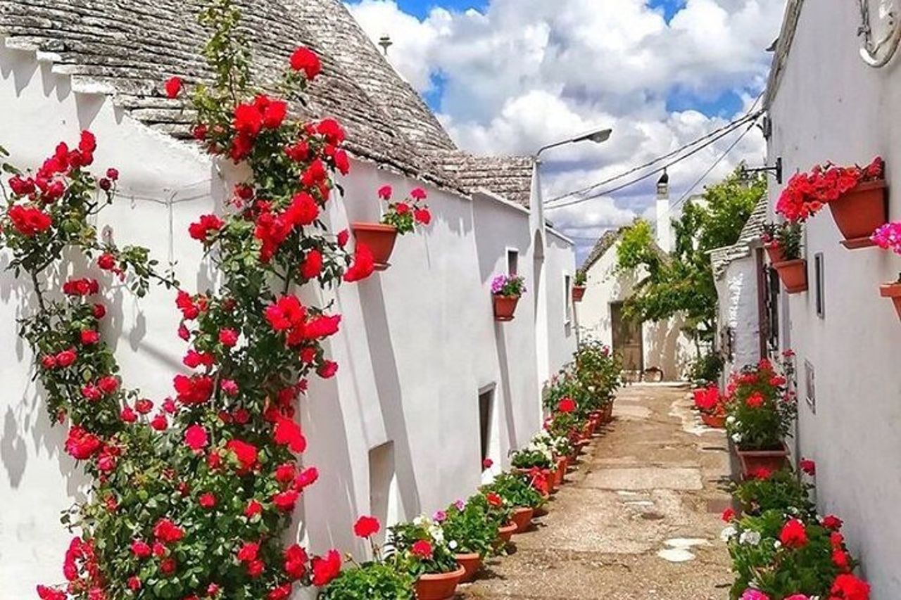 Trulli & Terroir : Viaggio privato ad Alberobello & degustazione di vini — 6