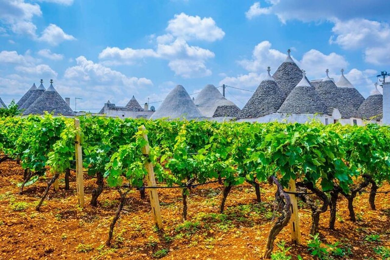 Trulli & Terroir : Viaggio privato ad Alberobello & degustazione di vini — 3