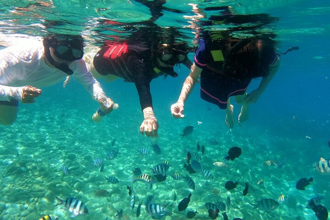 Tour di snorkeling a Nha Trang-Vuongland Travel — 6