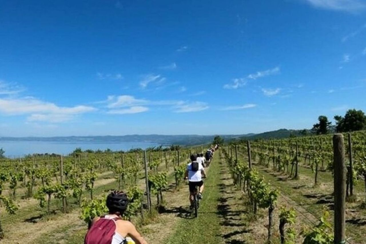 Tour in eBike della Valle del Lago con esperienza di degustazione enogastronomica — 2