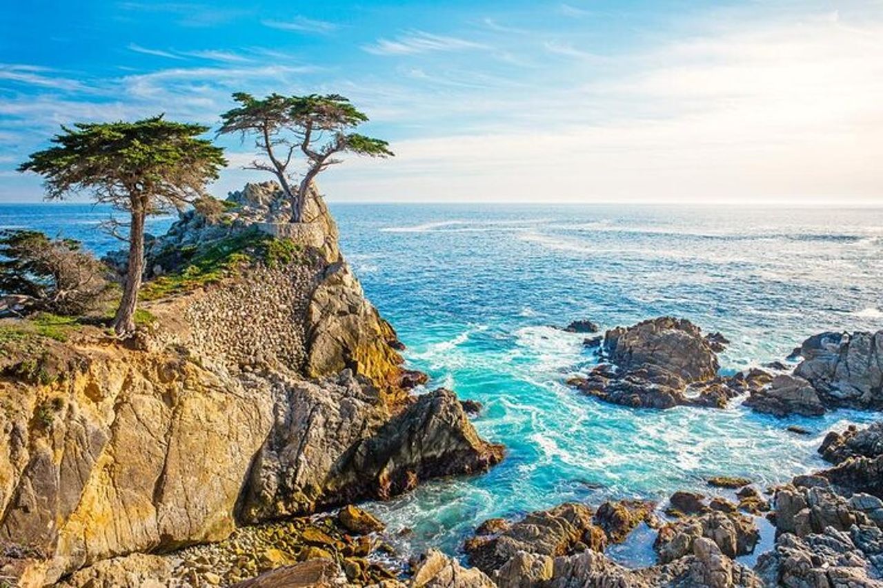 Tour di 17 miglia e Pebble Beach da Los Angeles a San Francisco