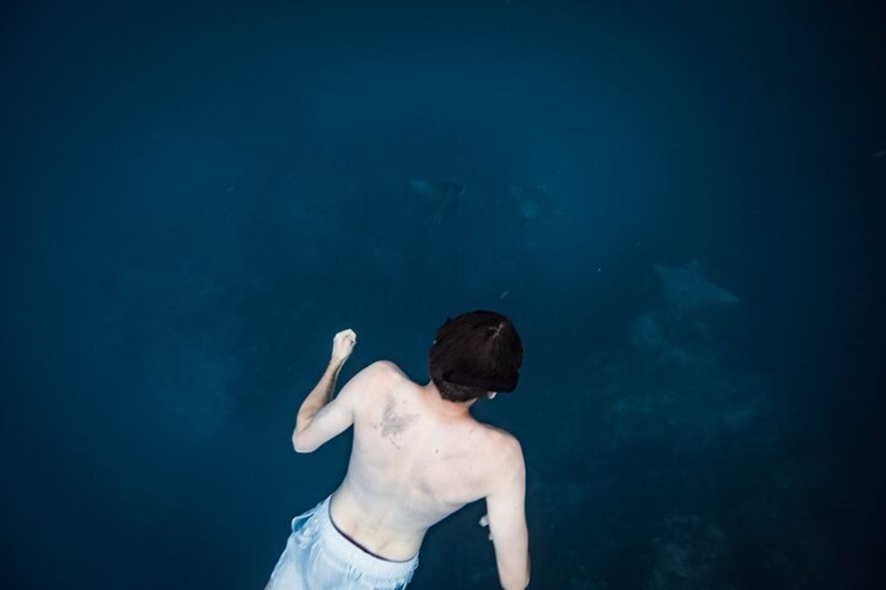Un tour di aquile di mare e tartarughe: piccoli gruppi e fotografia inclusi — 3