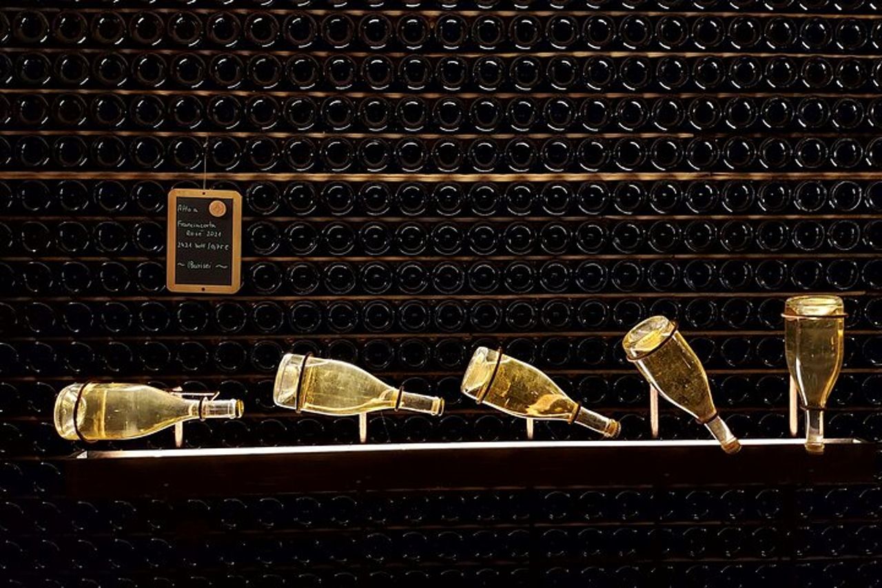 Da Milano: tour del vino Lago d'Iseo, Bergamo e Franciacorta — 5