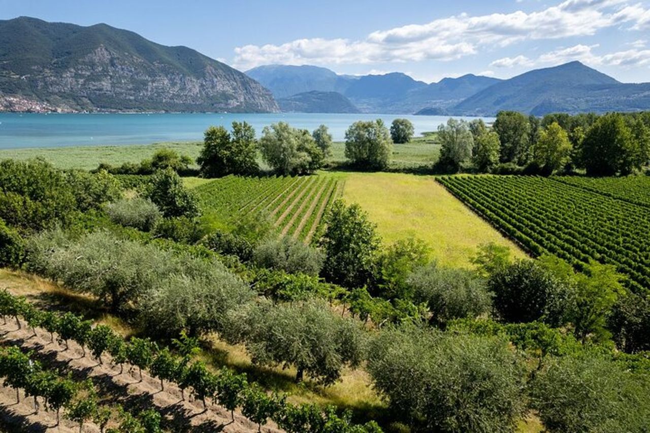 Da Milano: tour del vino Lago d'Iseo, Bergamo e Franciacorta — 6