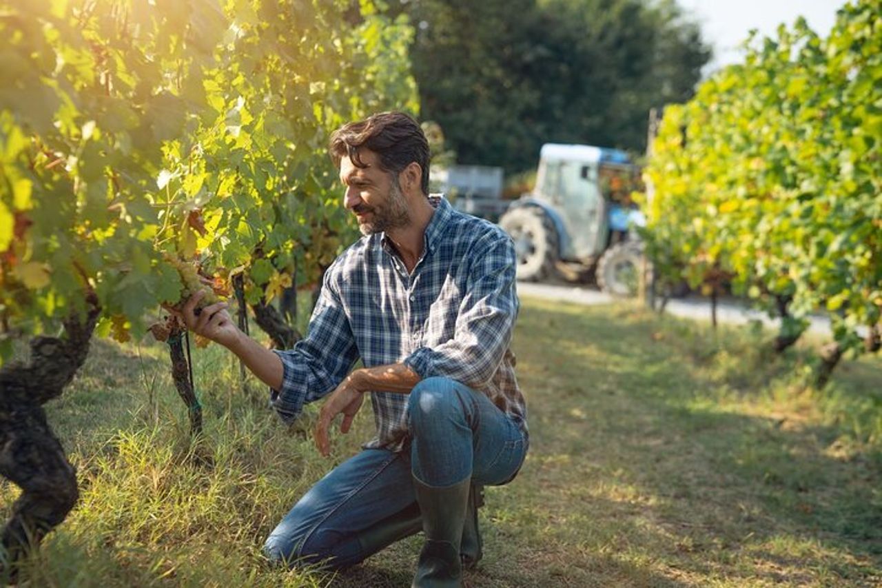Da Milano: tour del vino Lago d'Iseo, Bergamo e Franciacorta — 4