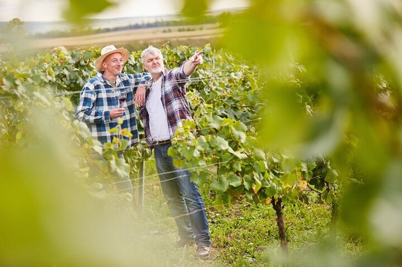 Da Milano: tour del vino Lago d'Iseo, Bergamo e Franciacorta — 8