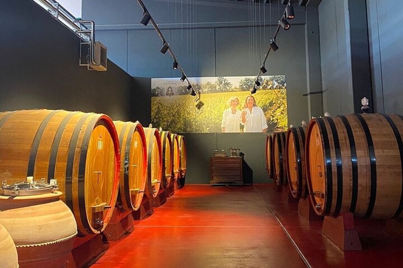Visita e degustazione vini a 30 minuti da Pescara