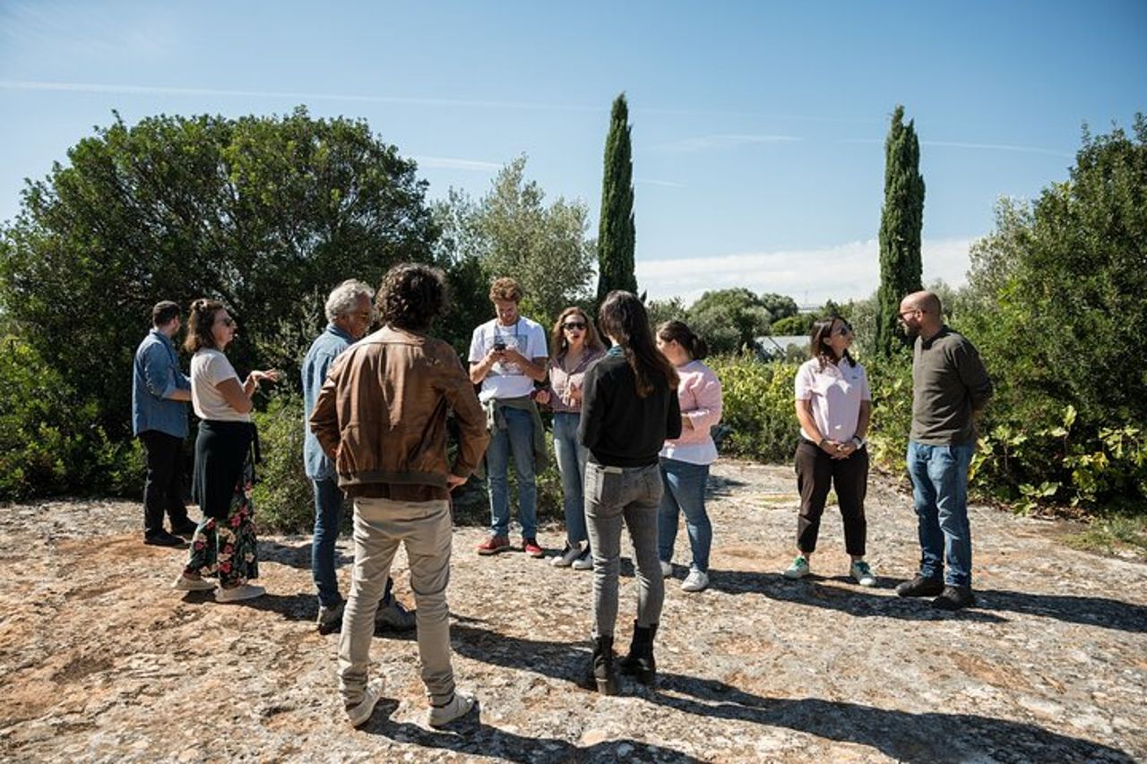 Ostuni DOC winetour e tasting. — 8