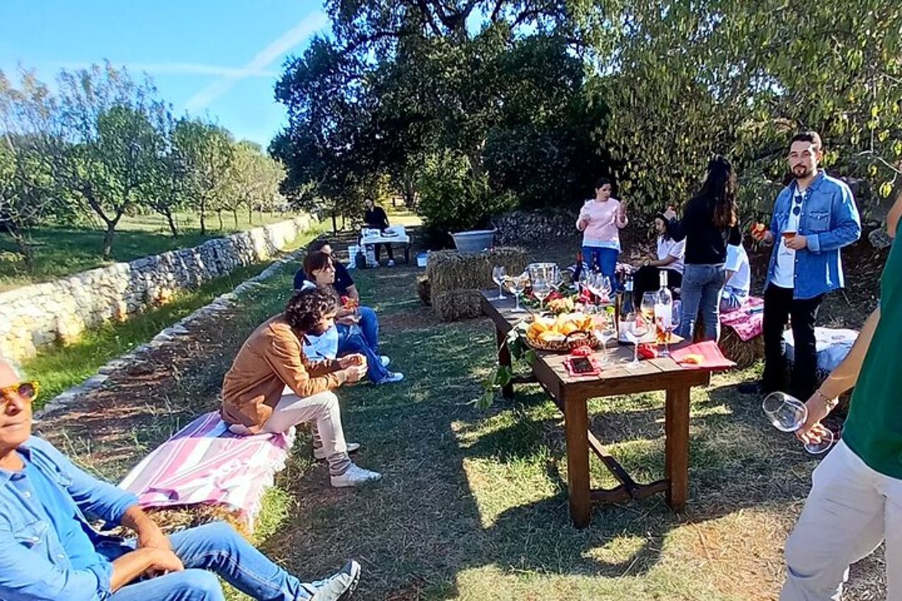 Ostuni DOC winetour e tasting. — 9