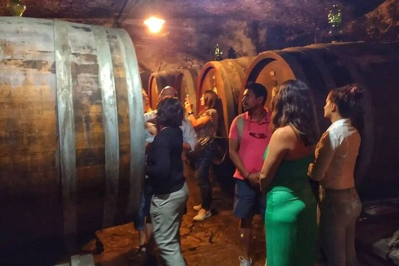 Chianti: eno-escursione tra le vigne — 7