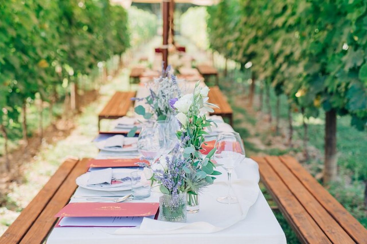 San Gimignano Cena romantica nei vigneti