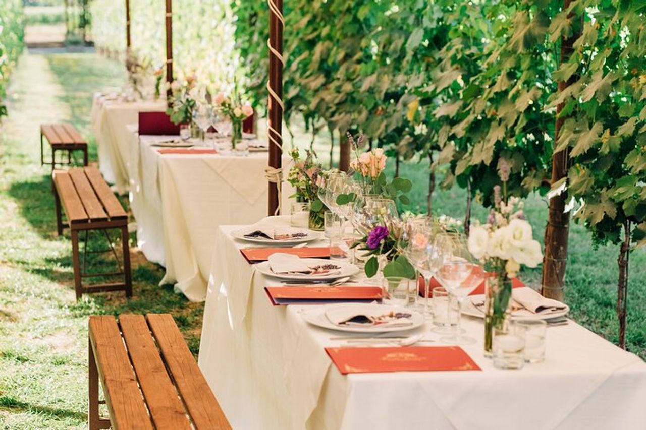 San Gimignano Cena romantica nei vigneti — 4