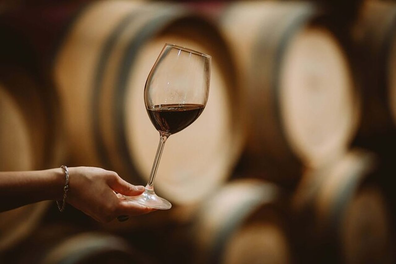 Degustazione di vini e servizio navetta — 9
