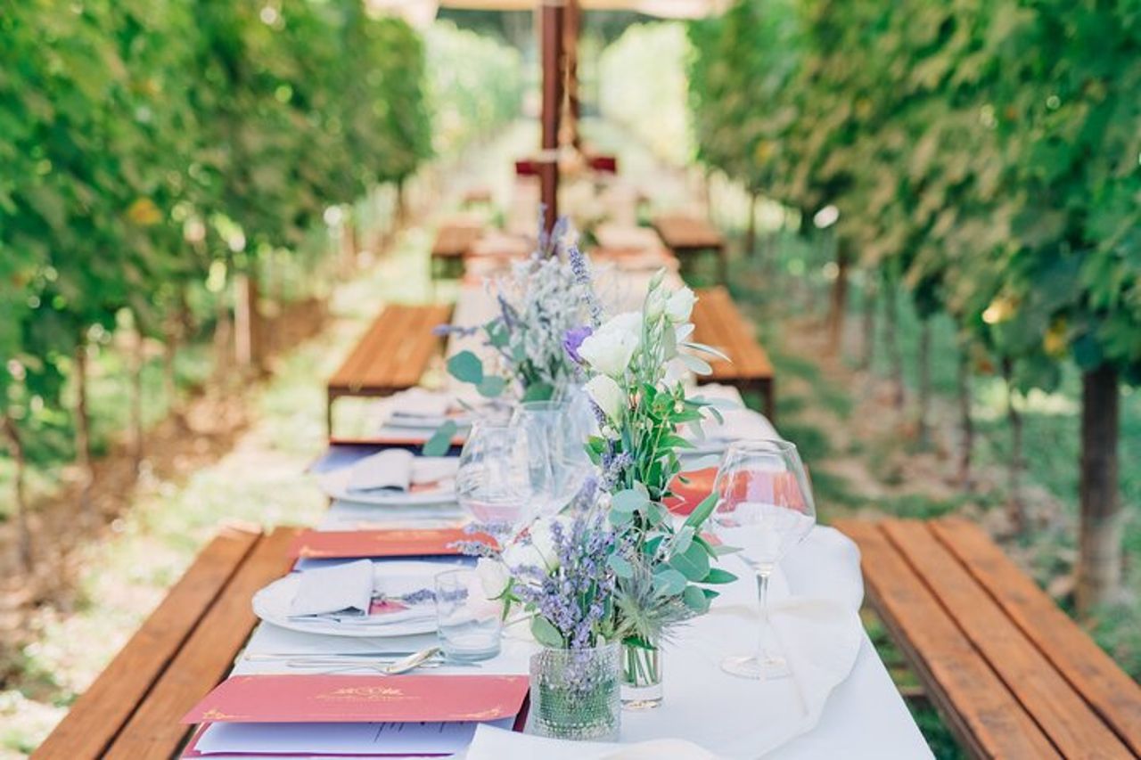 Pranzo romantico nei filari di vite in Toscana
