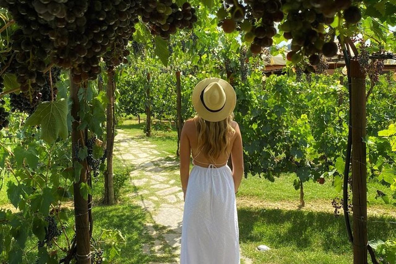 Pranzo romantico nei filari di vite in Toscana — 4
