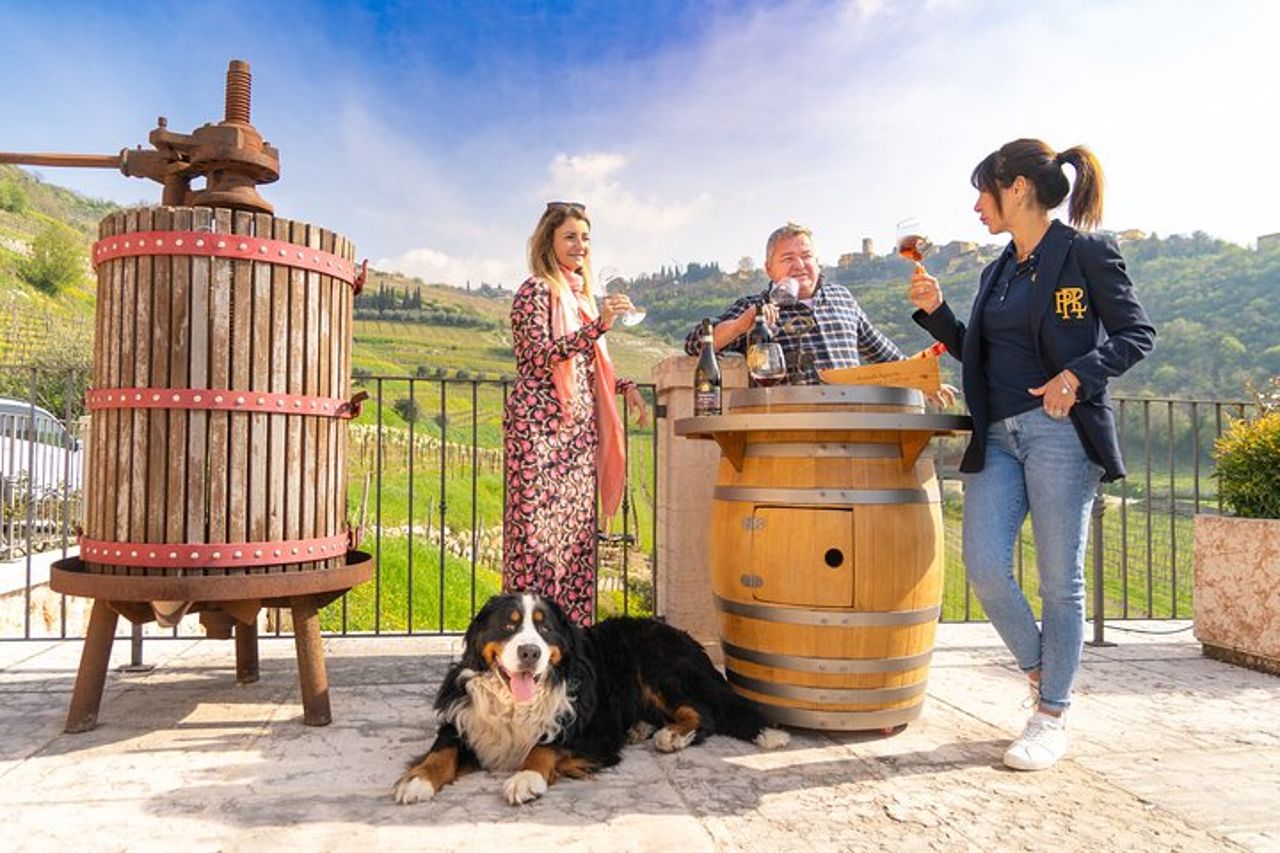 Grand tour della Valpolicella: focus Amarone, 2 Cantine e Pranzo