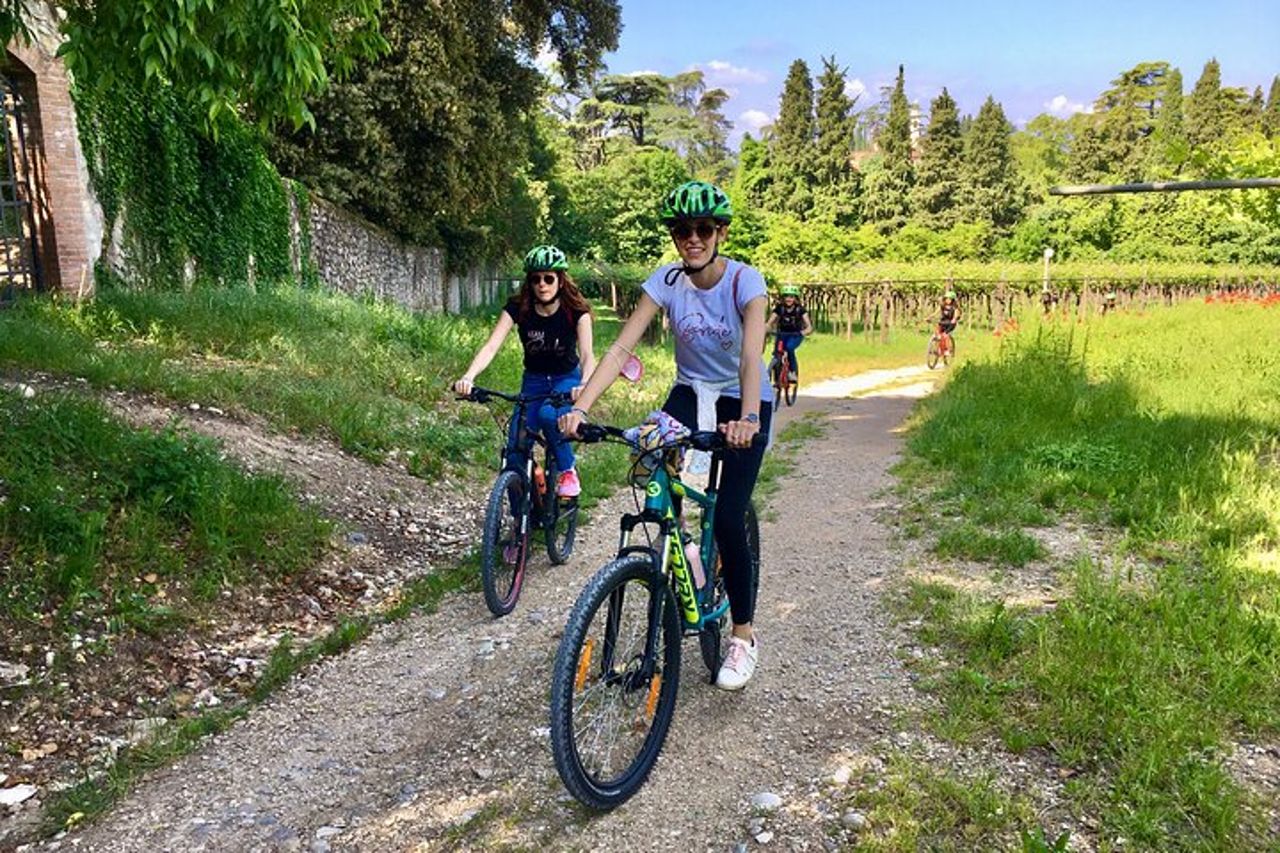Tour in E-Bike con degustazione vini da Polpenazze sul Lago di Garda