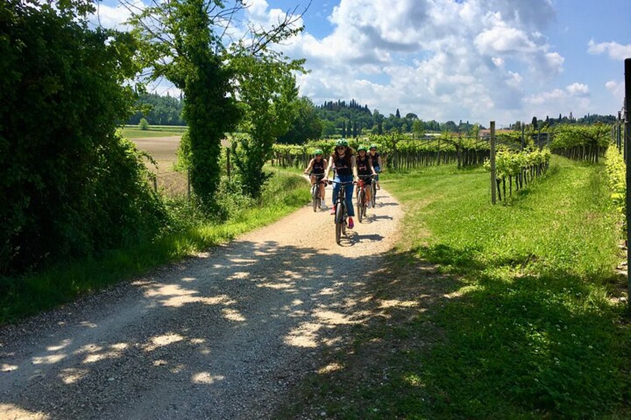 Tour in E-Bike con degustazione vini da Polpenazze sul Lago di Garda — 2
