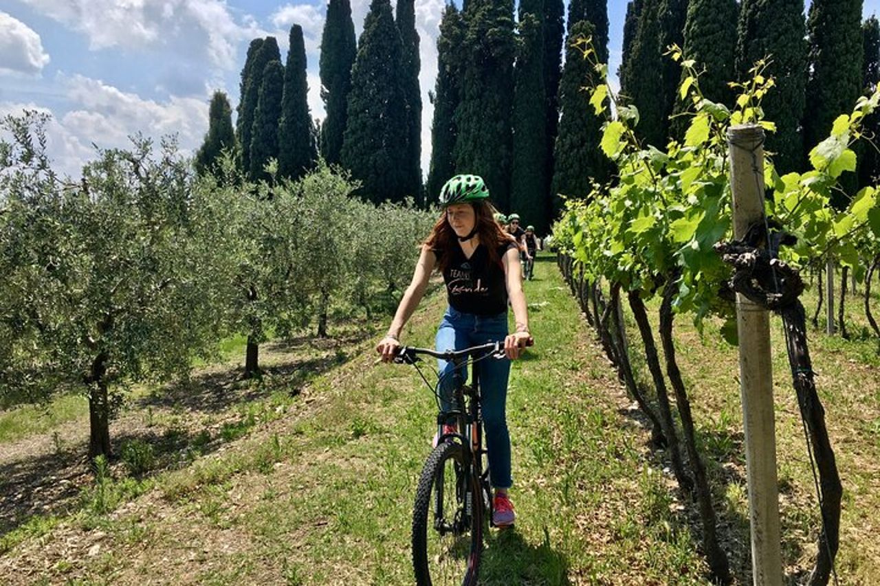 Tour in E-Bike con degustazione vini da Polpenazze sul Lago di Garda — 5