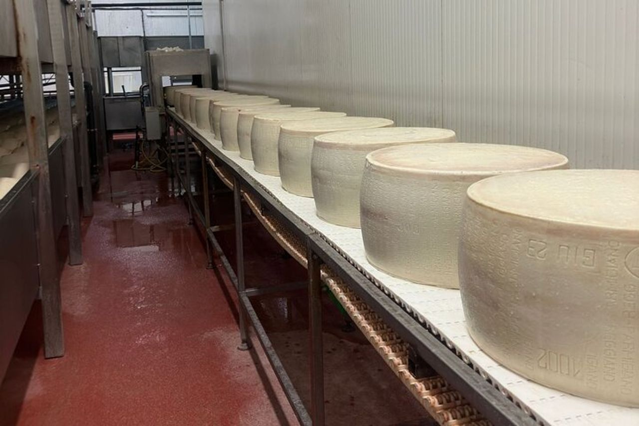 Tour gastronomico del parmigiano e dell'aceto balsamico con il Museo Ferrari — 6