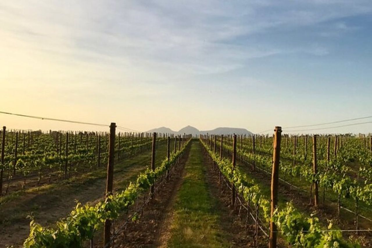 Tour privato delle città e delle cantine della Costa Brava — 2