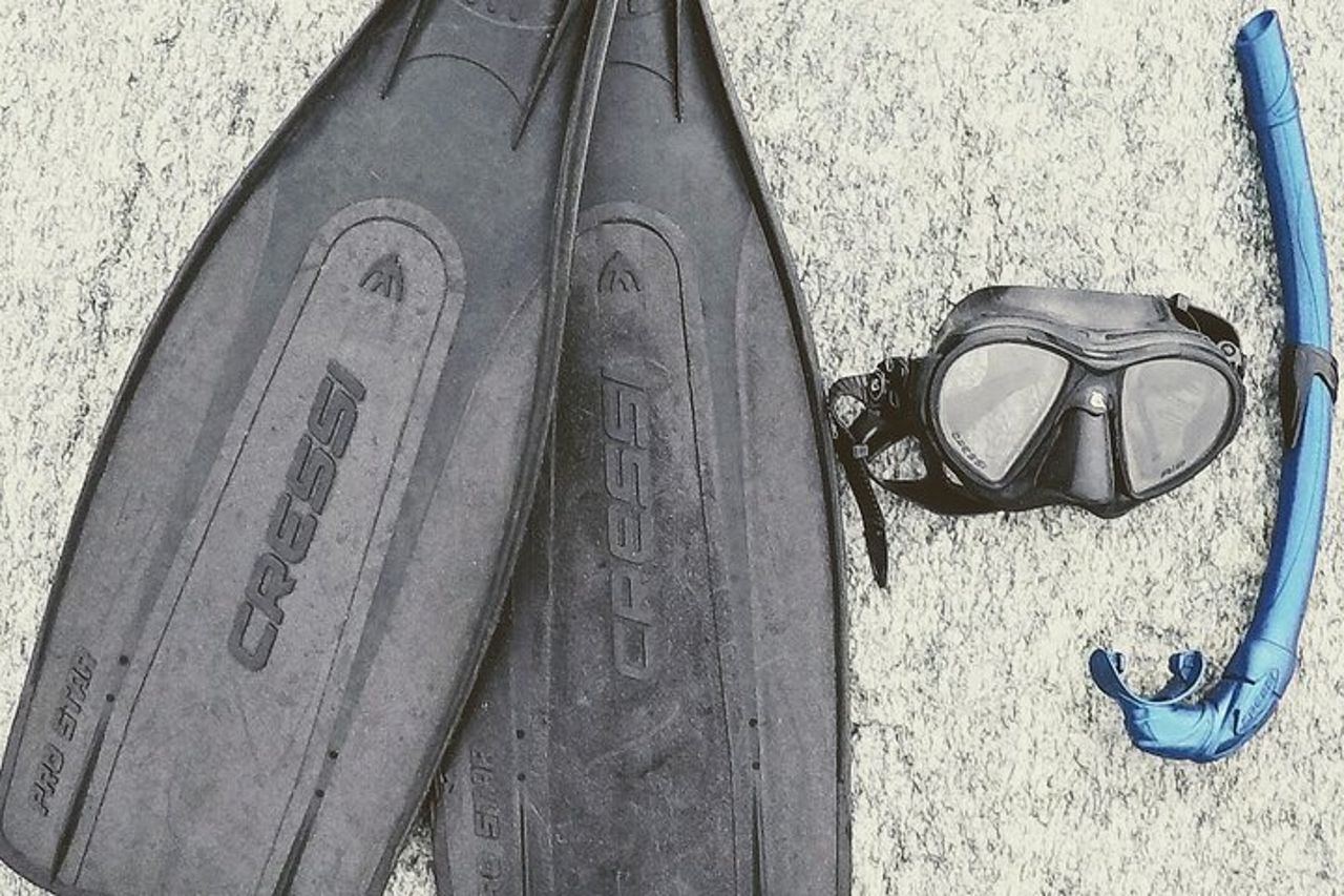 Eco snorkeling e Biologia Marina alle Cinque Terre — 9