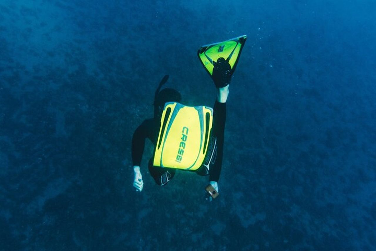 Eco snorkeling e Biologia Marina alle Cinque Terre — 6