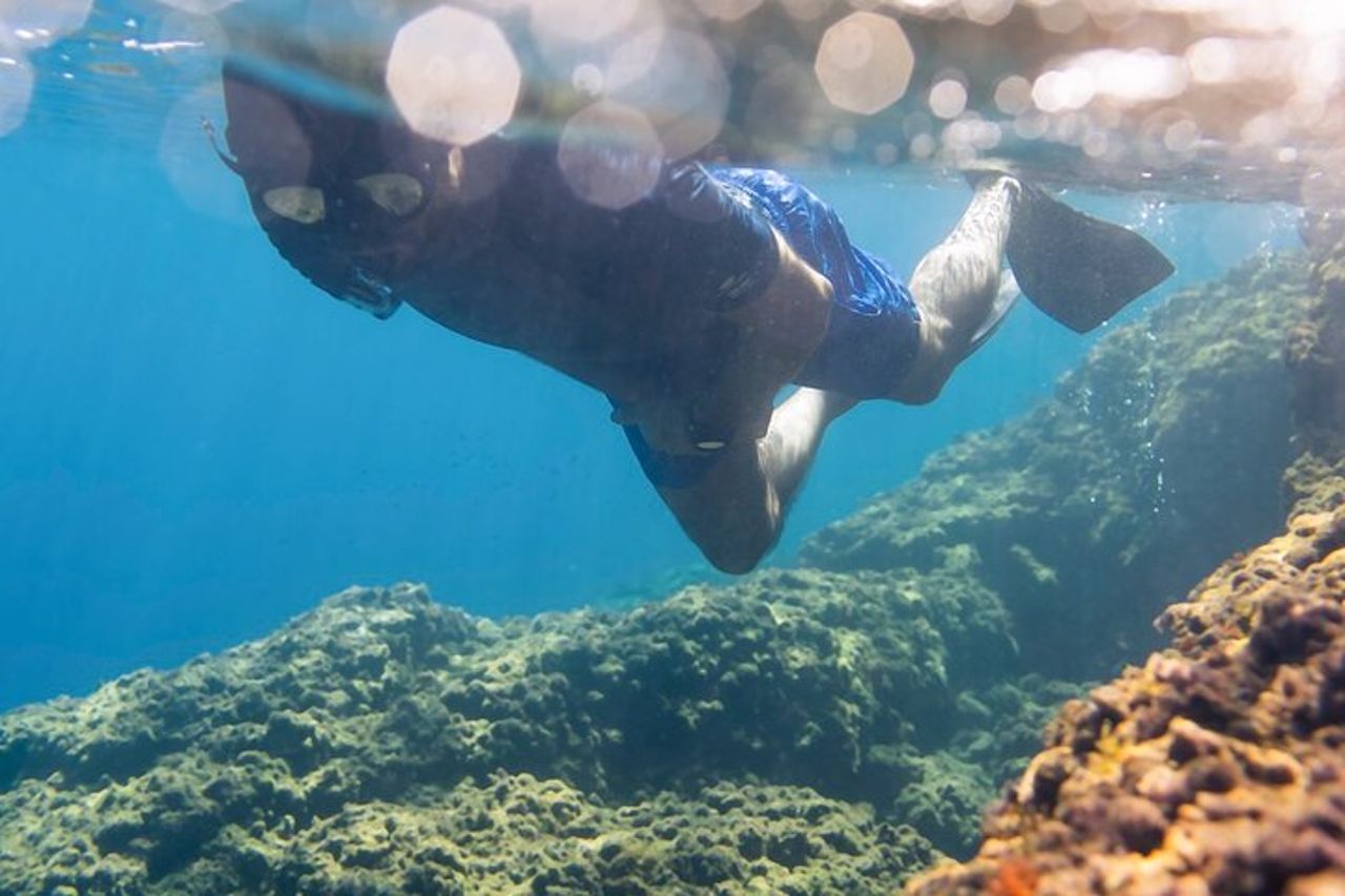 Eco snorkeling e Biologia Marina alle Cinque Terre — 7