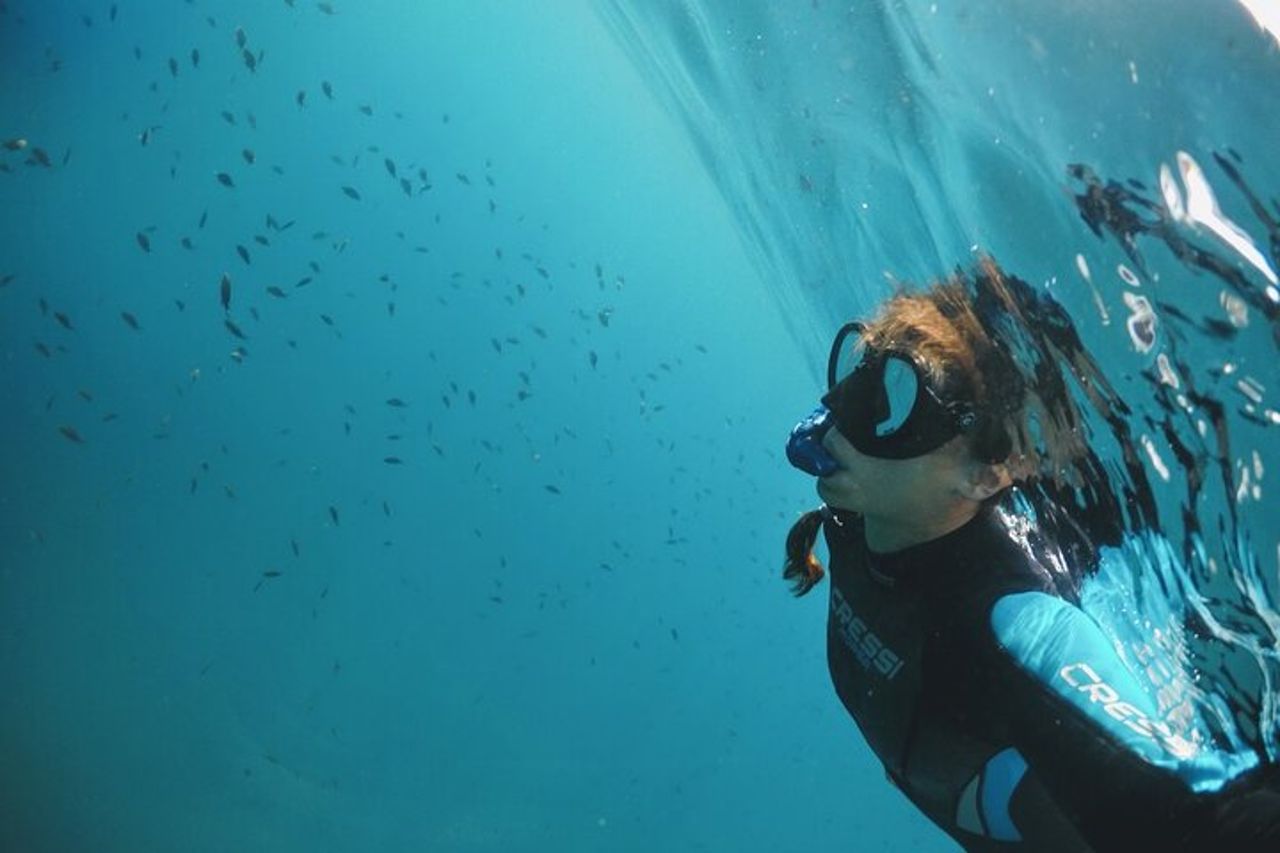 Eco snorkeling e Biologia Marina alle Cinque Terre — 8