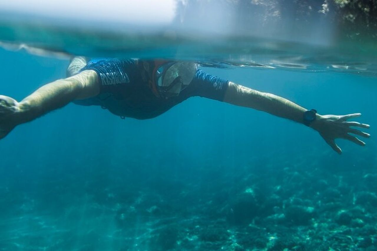 Eco snorkeling e Biologia Marina alle Cinque Terre — 2