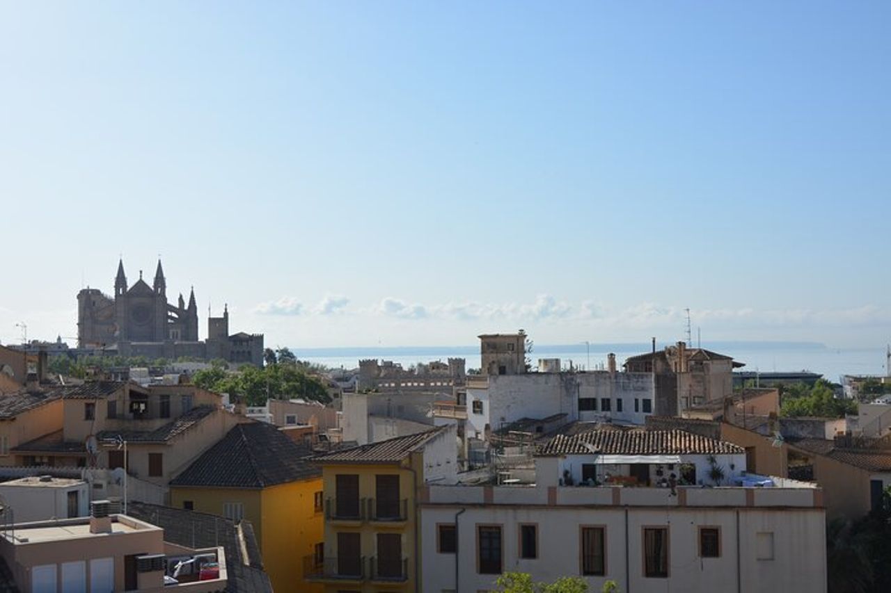 Palma di Maiorca Easy Bike Tour (piccoli gruppi) — 8