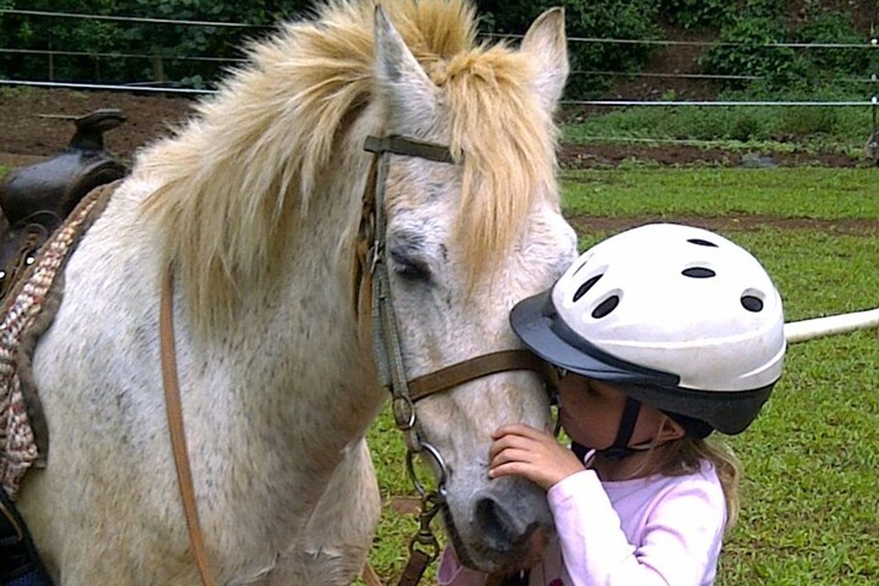 Escursione a cavallo — 9