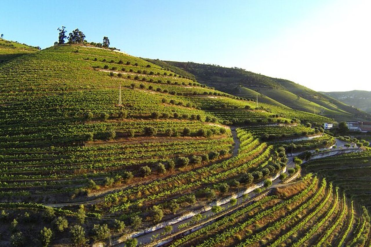 Gita di un giorno nella Valle del Douro e nel vino da Porto — 3