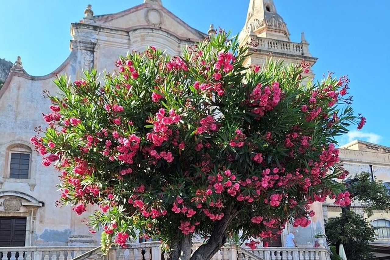 Tour Privato di Mezza Giornata a Messina Taormina e Castelmola — 7