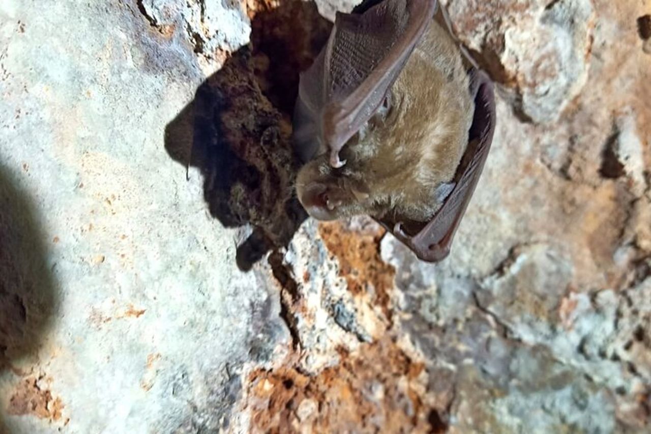 Pulo di Altamura: escursione nel Parco Nazionale Alta Murgia — 2