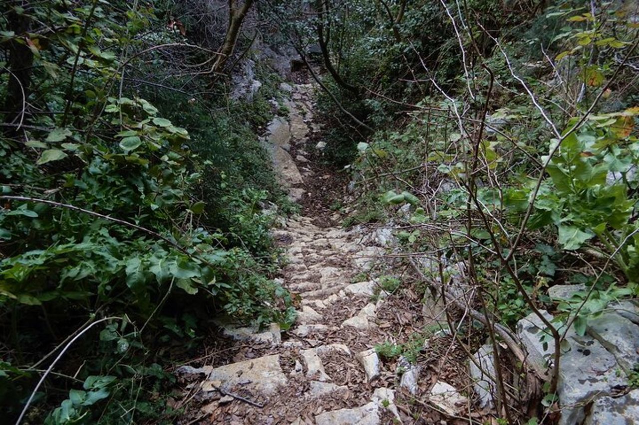 Pulo di Altamura: escursione nel Parco Nazionale Alta Murgia — 6