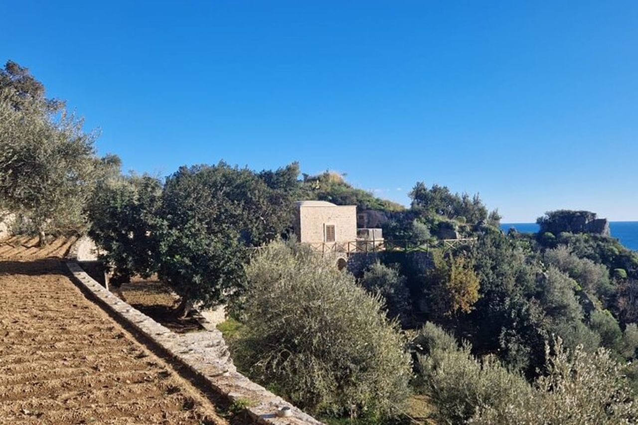 Visita alla Grotta dello Smeraldo con picnic in uliveto — 4