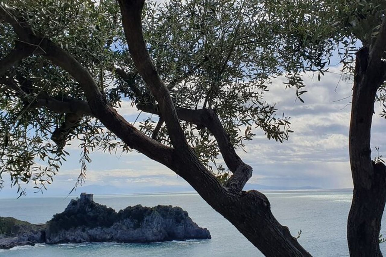 Visita alla Grotta dello Smeraldo con picnic in uliveto — 6