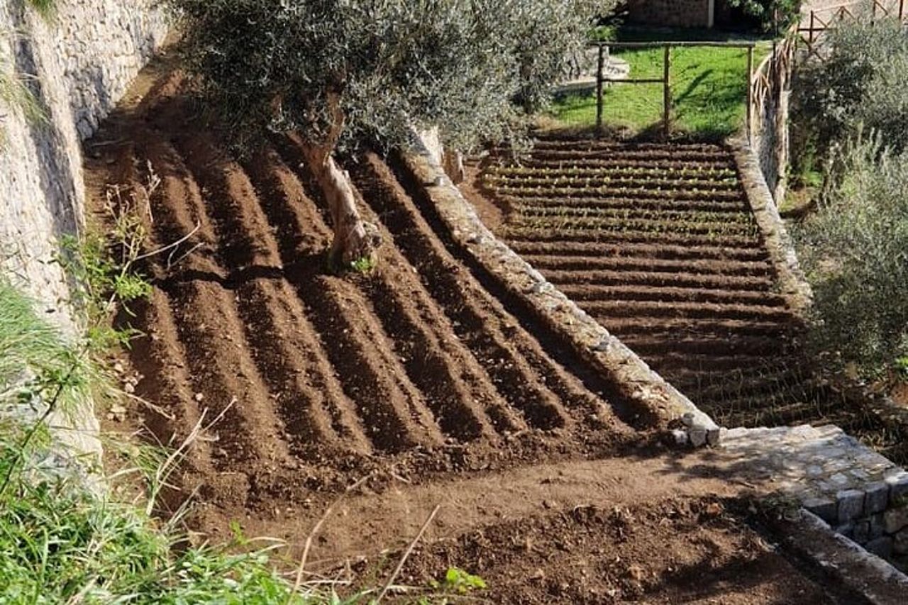 Visita alla Grotta dello Smeraldo con picnic in uliveto — 7