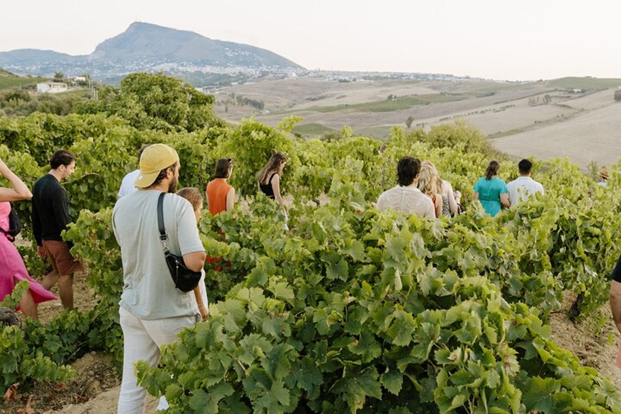 Degustazione di vino, olio e miele, da Alcamo e C/mmare Golfo — 2